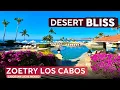 Cabo Luxury for Less Than Maui ZOETRY CASA DEL MAR Mexico Tour