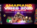 Download Lagu Amapiano Vibes 2025 | Biri Marung | Skuta Baba | Sthandwa Sam \u0026 More