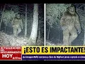 Lagu Cazador Graba a PIE GRANDE GIGANTE a Corta Distancia | El Video Más Nítido de Bigfoot Jamás Grabado