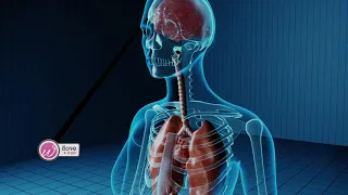 อะไรคืออาการที่บ่งชี้ว่าตับเริ่มทำงานผิดปกติจากแอลกอฮอล์?