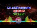 Download Lagu Salahmu Sendiri Remix Cut Rani