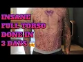 TOUGHEST CLIENT IVE EVER HAD INSANE FULL TORSO PROJECT BY mr reyesink