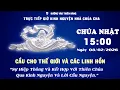 Lagu 15h00 Ngày 08-02-2026 -  Kinh Nguyện Lòng Thương Xót Chúa - Đường Vào Thiên Đàng
