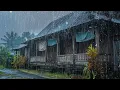 Download Lagu Suara Hujan untuk Tidur: Suara alam hujan dan guntur membantu Anda tertidur cepat, Tenangkan Pikiran