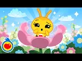 La Abejita Se Equivoca Canciones Infantiles Plim Plim