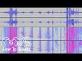 How To Show Spectrograms in Audacity MUSICS How To Guides