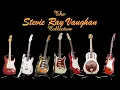 Stevie Ray Vaughan Tribute The Sky Is Crying