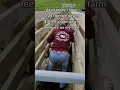 Download Lagu what can I say I must be a really good farmer #farming #countrygirl #shorts