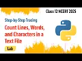 P4 - Count Lines Words and Characters in a Text File Python File Handling Class 12 NCERT 2025