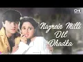 Nazrein Mili Dil Dhadka | Raja | Udit Narayan | Alka Yagnik | Madhuri Dixit | Sanjay K | Jhankar