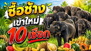 live , ภารกิจด่วนส่งอาหารปู่คำแก้ว