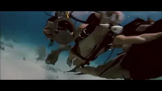 into the blue 2005 finding treasure scene full hd