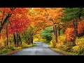 Download Lagu Healing Music for the Soul🌿 Relaxing Music to Heal, Relieve Stress, Deep Sleep and Stop Overthinking