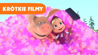 Masza i Niedźwiedź 💥 NEW 💥 Krótkie filmy ✨ Selfie 🤳✨ Masha and the Bear