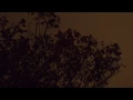 Christian Löffler - Veiled Grey(music video)