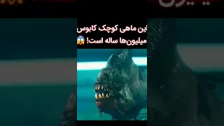 این ماهی کوچک کابوس میلیون ها ساله است فیلم فیلم سینمایی Review داستان ترسناک اکشن 