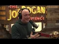 Joe Rogan Experience - Big Jay Oakerson Ari Shaffir
