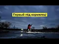 Первый лёд как зеркало! Навага, чека, камбала!