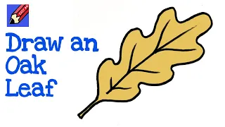 Draw a Fall Oak Leaf Real Easy