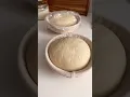 Download Lagu Straight dough from Flour Water Salt Yeast