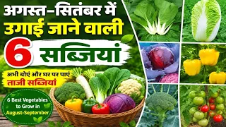 अगस्त–सितंबर में उगाई जाने वाली 6 सब्जियां 🌱 | अगर आप Kitchen Garden, Home Garden, Terrace Garden