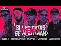 Download Lagu SI LA GATA SE AMOTINAN REMIX - Peipper X Doblep X Jombriel X Pedro Sampaio X LocuraMix 🇦🇷🇪🇨🇧🇷