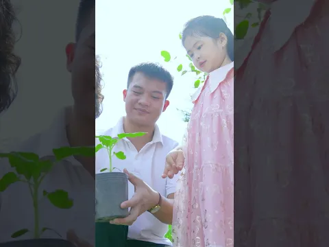 Vườn cây của ba #canhacthieunhi #lienkhucthieunhi #nhacthieunhi