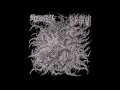 BLOOD INCANTATION / SPECTRAL VOICE - split, 2015