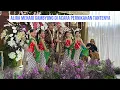 Download Lagu Alira Anak Campur Australia - Indonesia Menari Gambyong di Acara Pernikahan Tantenya di Jawa