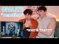 Lagu TAYLOR SWIFT x OPALITE (OFFICIAL MUSIC VIDEO) | REACTION !