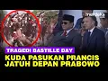 Download Lagu Ngeri! Kuda Pasukan Prancis Jatuh Depan Prabowo \u0026 Macron di Bastille Day Prancis