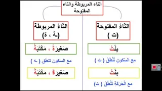 التاء المربوطة والتاء المفتوحة إعداد بشرى أبو شندي 
