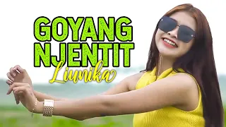 Download Minggir Awas Pliket | GOYANG NJENTIT - Liunika | Remix Version (Official Music Video) MP3