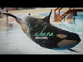 Technicolour beat || Complete