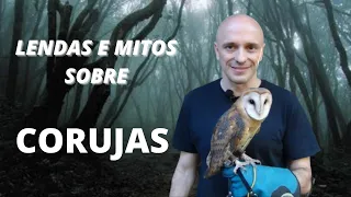 CORUJAS - LENDAS E MITOS, VERDADES E MENTIRAS. As histórias sobre essas misteriosas aves!