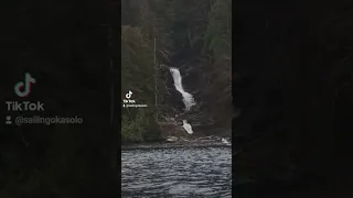 The Great Bear Rainforest, home to thousands of waterfalls