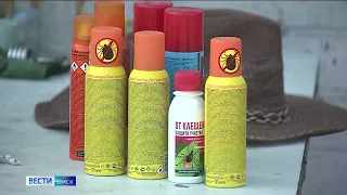 Около 200 омичей пострадали от укусов клещей