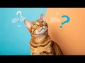 Why Curiosity Is Dying And Why We Don t Even Notice