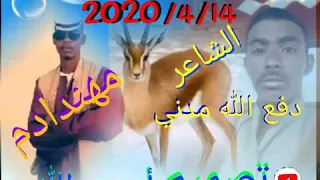 الشاعر دفع الله مدني يوسف ٢٠٢٠ 