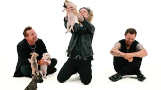 Green Day The Puppy Interview