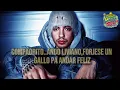 AMAPOLA - Natanael Cano x Nueva H (Video Lyric Oficial)