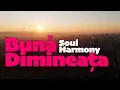 Lagu Soul Harmony 💚 Buna Dimineata  [ 528 Hz Music Therapy ] 🌿 Peace and Love 💚