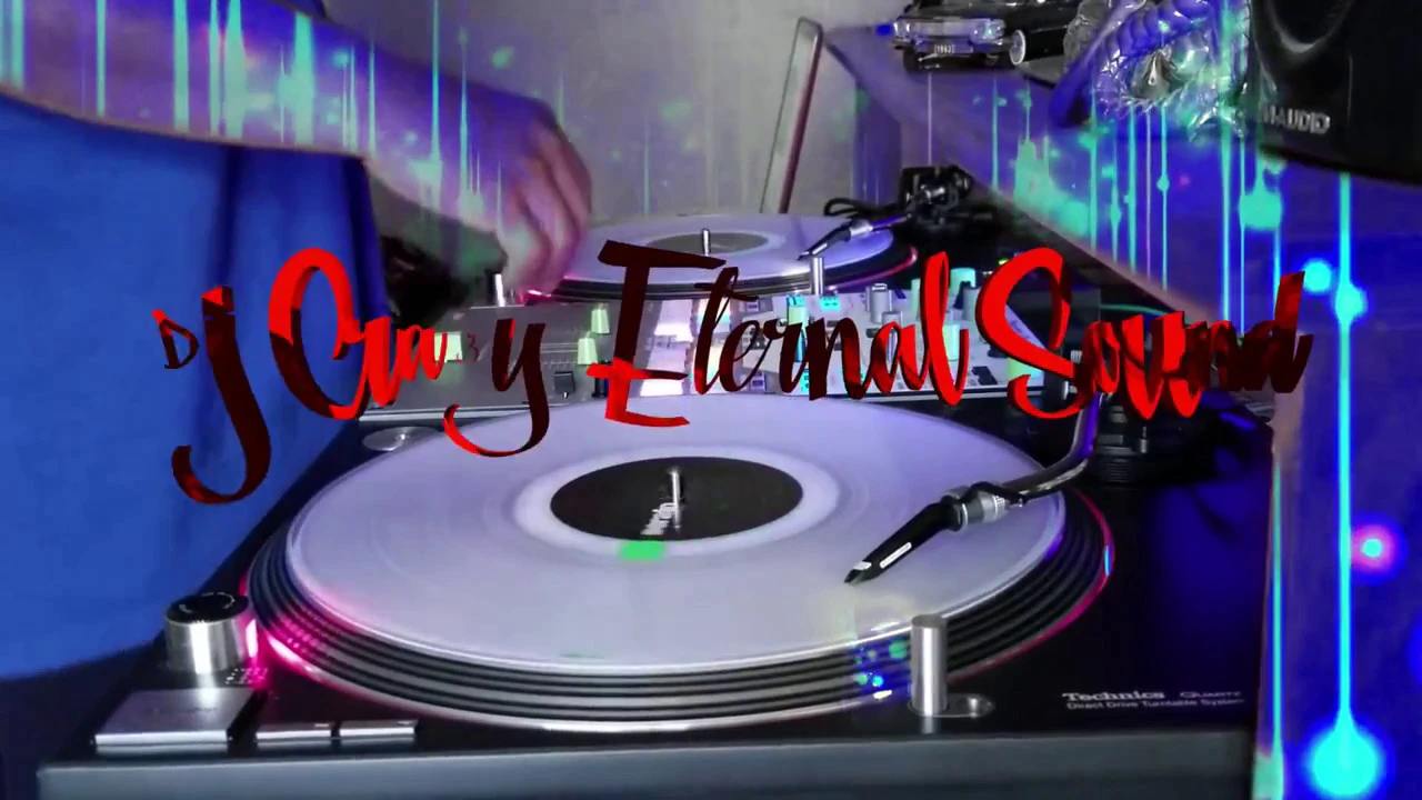 Adina Howard - Freak Like Me (Crazyed & Chopped) Live