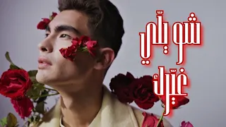 Chou Yalli Ghayyarak شو يل ي غي رك ShaeTunes Official Music Video 