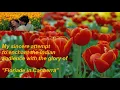 Download Lagu Dekha Ek Khwab, Silsila,  Kishore Kumar, Lata Mangeshkar, Bollywood, Yash Chopra, Floriade Canberra