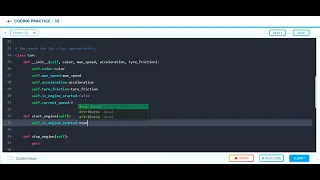 Python coding practice-32 car-3