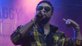 shaggy entrance u0026 lucky day norwich 2017