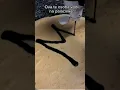 Download Lagu ova osoba mora da te vodi na palacinke nema necu