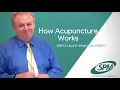 How Acupuncture Works - by Lloyd G Wright LAc DNBAO