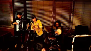 御本人アコーディオン ハウルの動く城より人生のメリーゴーランド Howl S Moving Castle The Merry Go Round Of Life 